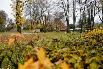 Wohnbebauung am Rönskenhof: Stadt Voerde stellt neue Pläne vor