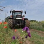Ausgleichsflächen im Kreis Wesel: Sonderweg zum Nachteil von Kommunen?