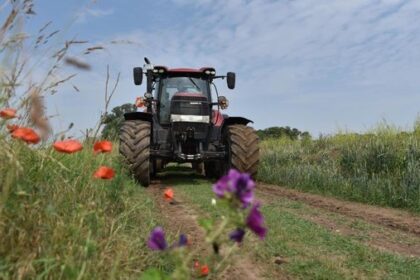 Ausgleichsflächen im Kreis Wesel: Sonderweg zum Nachteil von Kommunen?