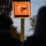 BSV Friedrichsfeld: Das ist der neue Vorsitzende des Vereins