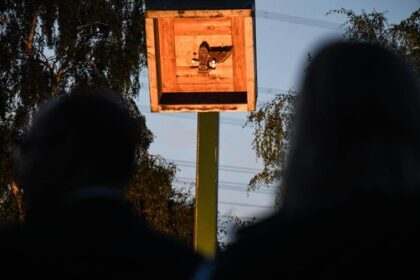 BSV Friedrichsfeld: Das ist der neue Vorsitzende des Vereins