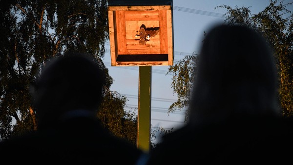 BSV Friedrichsfeld: Das ist der neue Vorsitzende des Vereins