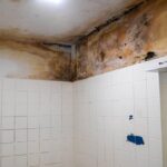 Dinslaken: „Ekelwohnung“ voller Schimmel – und Vermieter erhöht die Miete