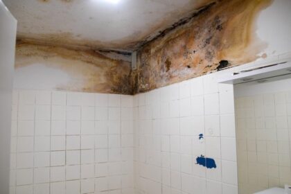 Dinslaken: „Ekelwohnung“ voller Schimmel – und Vermieter erhöht die Miete