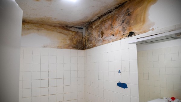 Dinslaken: „Ekelwohnung“ voller Schimmel – und Vermieter erhöht die Miete