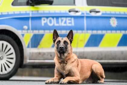 Einbruch in Moers: Polizeihund stellt Dinslakener (40) – Haftbefehl angeordnet