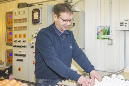 „Rund ein Cent Gewinn pro Ei“: Hühnerbauer über Preise und Eier-Not in NRW