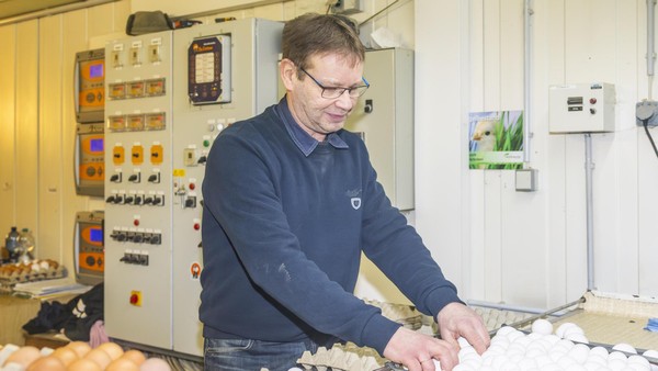 „Rund ein Cent Gewinn pro Ei“: Hühnerbauer über Preise und Eier-Not in NRW