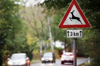 Wildtiere und die Zeitumstellung: Besondere Vorsicht im Straßenverkehr geboten