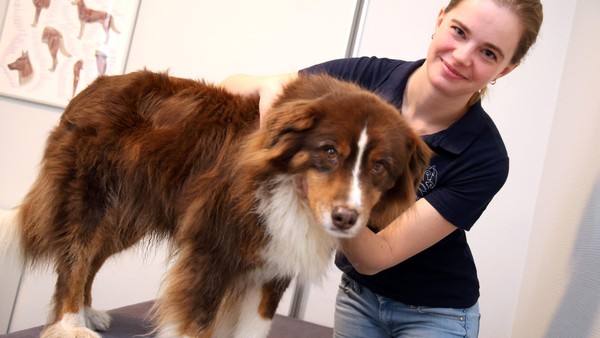Akupunktur und Chiropraktik für Tiere: Dinslakenerin bietet mobilen Service an