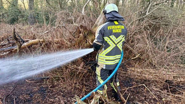 Brand in einem Hünxer Waldstück – Feuerwehr im Einsatz