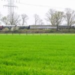 Ein Sonderzug erkundet die Walsumbahn: Fahren hier bald wieder reguläre Züge?