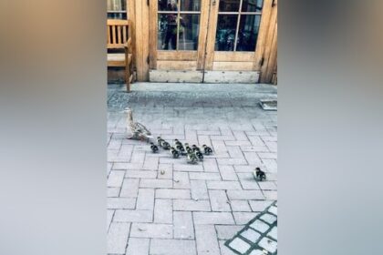 Feuerwehreinsatz beim Energy Run in Dinslaken: Das war der süße Grund