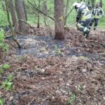 Flammen breiteten sich schon aus: Feuerwehr löscht Waldbrand in Hünxe