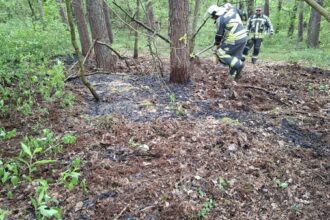 Flammen breiteten sich schon aus: Feuerwehr löscht Waldbrand in Hünxe