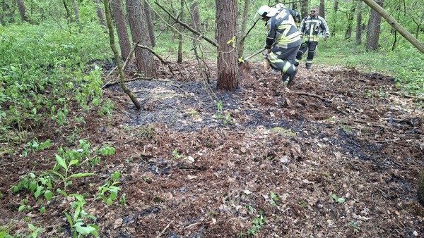 Flammen breiteten sich schon aus: Feuerwehr löscht Waldbrand in Hünxe