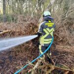 In Hünxe-Bruckhausen: Grasbrand im Wald – Feuerwehr zur Stelle