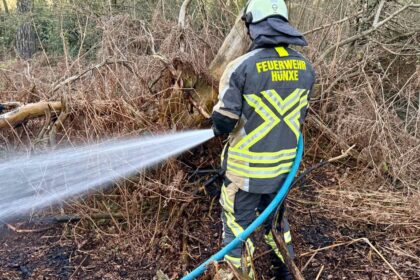 In Hünxe-Bruckhausen: Grasbrand im Wald – Feuerwehr zur Stelle