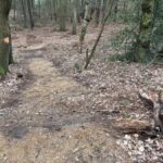 Nicht zum ersten Mal: Illegale Mountainbike-Strecken im Wald bei Hünxe entdeckt