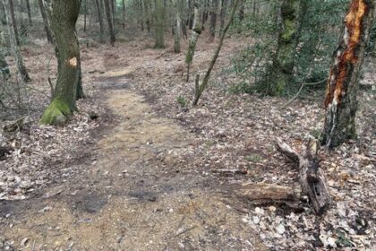 Nicht zum ersten Mal: Illegale Mountainbike-Strecken im Wald bei Hünxe entdeckt
