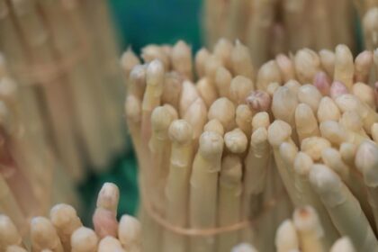 Spargelsaison 2026: Wo es in Wesel und Umgebung frischen Spargel gibt