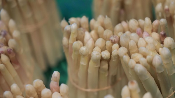 Spargelsaison 2026: Wo es in Wesel und Umgebung frischen Spargel gibt