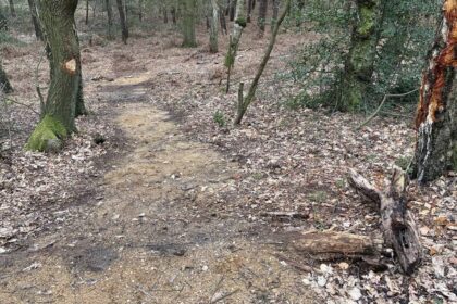 Testerberge in Hünxe: Bäume mit Axt verletzt – Forstamt warnt vor Vandalismus