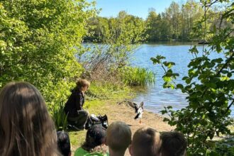 Von Hund gebissen? Dinslakener Grundschüler retten verletzten Erpel „Erwin“