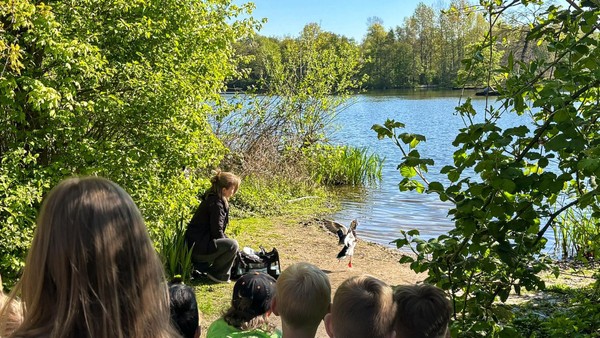 Von Hund gebissen? Dinslakener Grundschüler retten verletzten Erpel „Erwin“