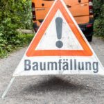 Mehrere Bäume werden gefällt – warum das laut Stadt Voerde „zwingend“ ist