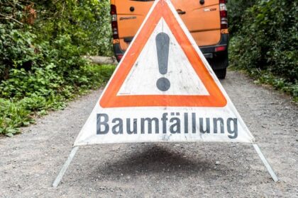 Mehrere Bäume werden gefällt – warum das laut Stadt Voerde „zwingend“ ist