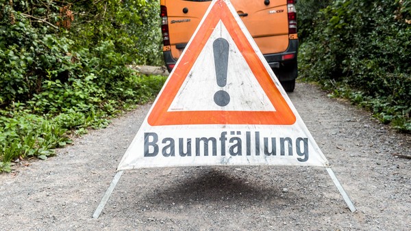 Mehrere Bäume werden gefällt – warum das laut Stadt Voerde „zwingend“ ist