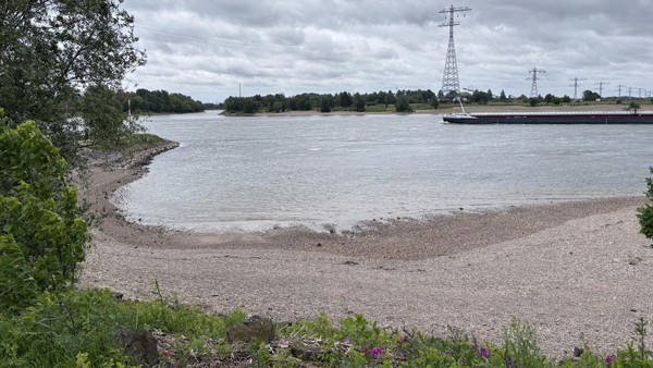 Badeverbot im Rhein in Voerde: Menschen standen „hüfthoch im Wasser“