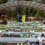 Dinslakener Gärtnerei stellt Gartenmarkt ein: „Fällt uns alles andere als leicht“
