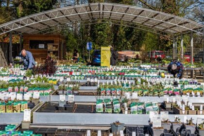 Dinslakener Gärtnerei stellt Gartenmarkt ein: „Fällt uns alles andere als leicht“