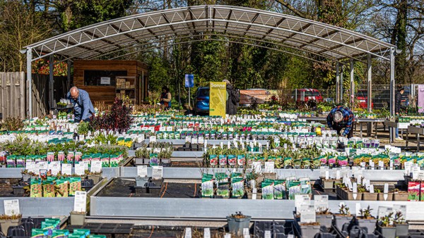 Dinslakener Gärtnerei stellt Gartenmarkt ein: „Fällt uns alles andere als leicht“