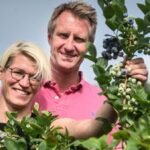 Familie Rühl lädt zum Sommernachtsfest mit Selbstpflücken auf Blaubeer-Plantage