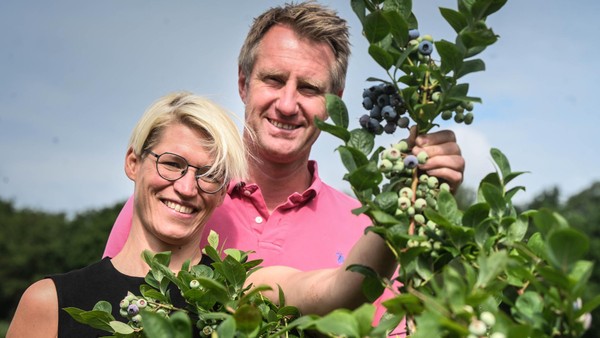 Familie Rühl lädt zum Sommernachtsfest mit Selbstpflücken auf Blaubeer-Plantage