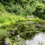 Michael Helmichs ganz besonderer Naturgarten in Hünxe: die schönsten Bilder