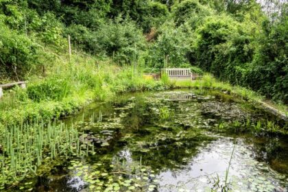 Michael Helmichs ganz besonderer Naturgarten in Hünxe: die schönsten Bilder