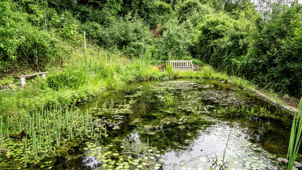 Michael Helmichs ganz besonderer Naturgarten in Hünxe: die schönsten Bilder