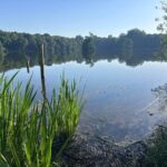 Rotbachsee in Dinslaken: Desaster wie 2025 vermeiden – Stadt und Lippeverband wollen Fische schützen