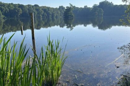 Rotbachsee in Dinslaken: Desaster wie 2025 vermeiden – Stadt und Lippeverband wollen Fische schützen