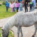 Stehen zwei Pferde in der Kita: Ungewöhnliches Projekt in Dinslaken