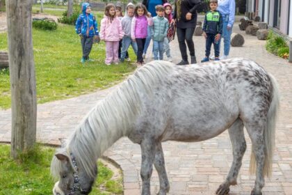 Stehen zwei Pferde in der Kita: Ungewöhnliches Projekt in Dinslaken