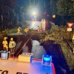 Sturm hinterlässt umgestürzten Baum: Feuerwehr in Drevenack muss eingreifen