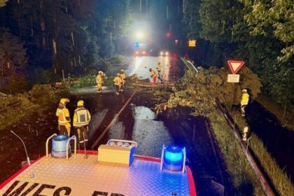 Sturm hinterlässt umgestürzten Baum: Feuerwehr in Drevenack muss eingreifen