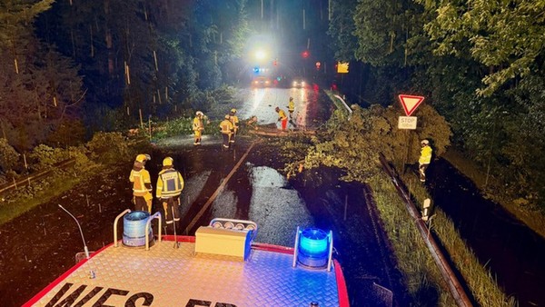 Sturm hinterlässt umgestürzten Baum: Feuerwehr in Drevenack muss eingreifen