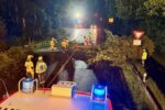 Unwetter in Hünxe: Baum fällt auf Straße – Feuerwehr rückt nachts aus