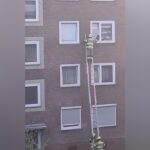 Dramatische Tierrettung in Voerde: Katze klemmt in Fensterspalt fest